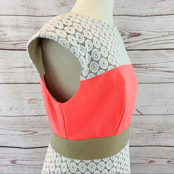 Sandra Darren neon coral white beige lace sheath - Picture 7 of 14